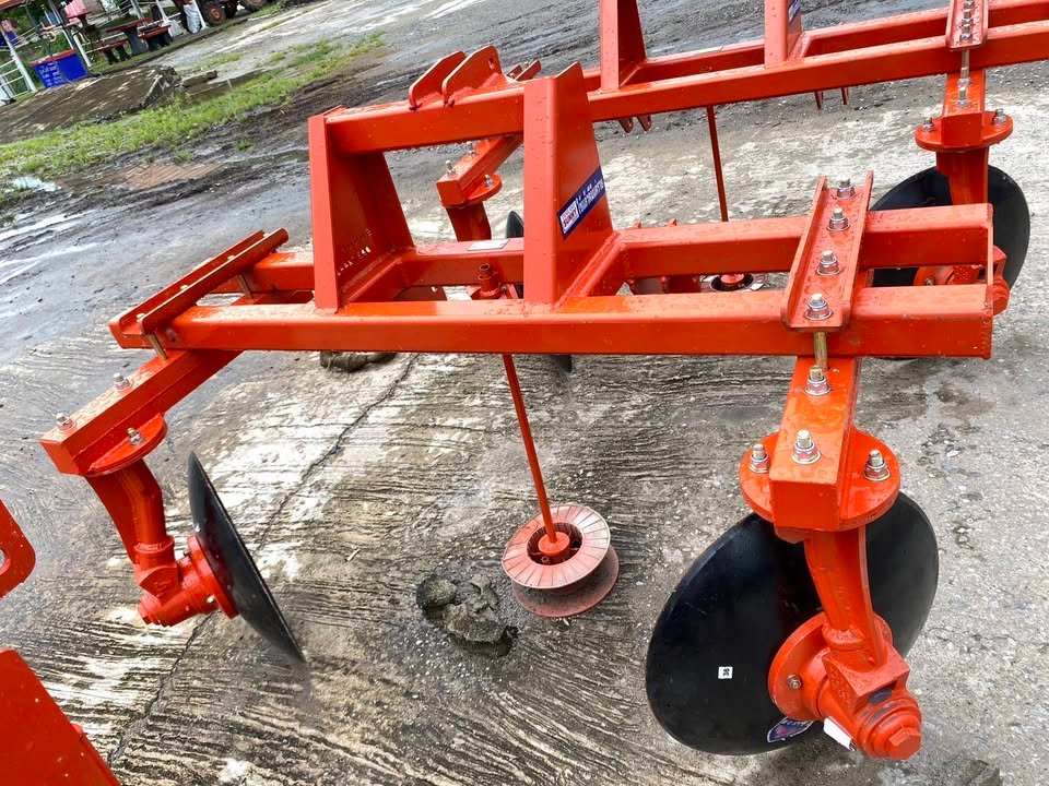 ผานขุดมัน